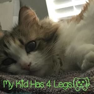 Meet your Posher, Sally